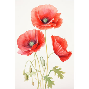 Poppies Watercolor Canvas